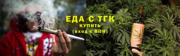 гидра Инта