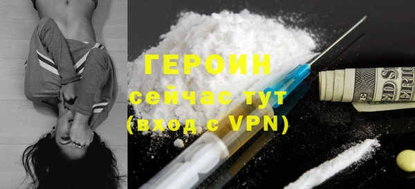 гидра Инта