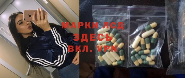 гидра Инта