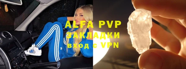 гидра Инта