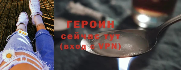 гидра Инта