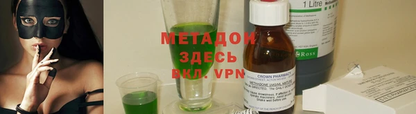 гидра Инта