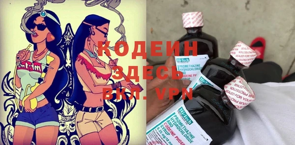 гидра Инта