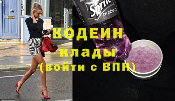 гидра Инта