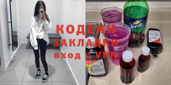 гидра Инта