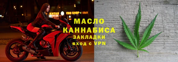 гидра Инта