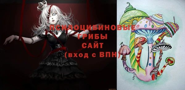 ешки Иннополис