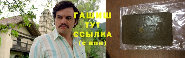гидра Инта
