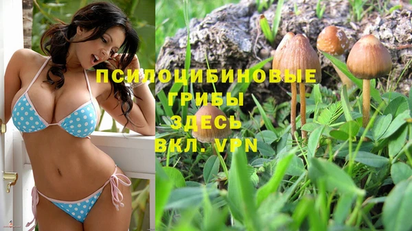 ешки Иннополис